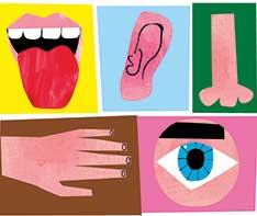 This is an illustration of body parts, clockwise from top left: tongue, ear, possible nose, hand, eye.