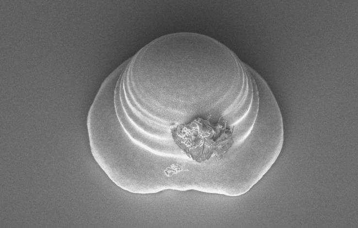 A laser pulse melted a tiny piece of metal on a silicon chip, resulting in an unexpected shape that looks like a very, very small Easter bonnet. An unintended dust particle serves as a decorative flower on its top. The size of the bonnet in this photo, me