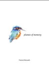 Plumes of Memory 