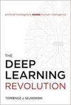 The Deep Learning Revolution 