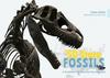 The 50 State Fossils: A Guidebook for Aspiring 