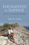 Enchanted by Daphne