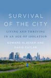 Survival of the City Survival of the City
