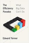 The Efficiency Paradox: What Big Data Can’t Do
