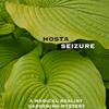 Hosta Seizure 