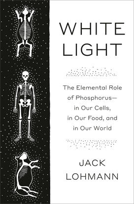 The cover of "White Light: The elemental role of phosphorous — in our cells, in our food, and in our world." Illustrations are skeletons of a human and an animal.