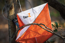 PRINCE_adventureracers_3.jpg An orange-and-white marker that looks like a kite in a tree, marked tanZ.