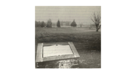 Untitled design (4).png