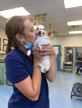 OTC_Summer Patricia Palanik.jpg Patricia Palanik ’28 holds a small dog in a vet's office