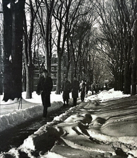 Screenshot 2025-11-14 at 12.13.35 PM.png 1