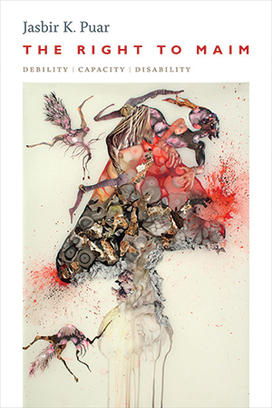 Book cover of “The Right to Maim”