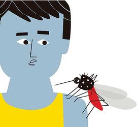 Research_BtR-illos-copy-2.jpg