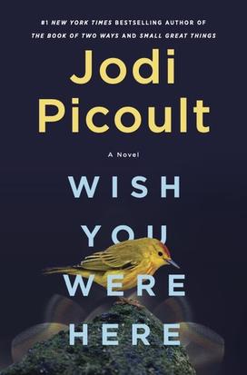 This is an image of the cover of Jodi Picoult's book "Wish You Were Here," featuring a picture of a bird.