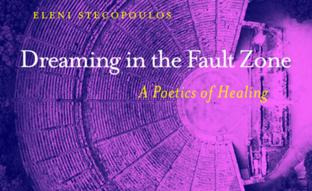 Cover of Dreaming in the Fault Zone