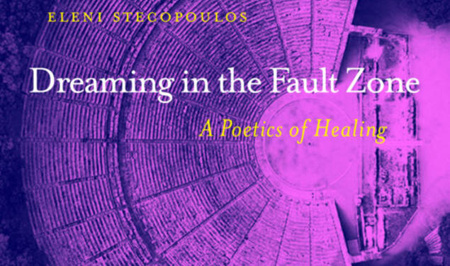 Cover of Dreaming in the Fault Zone