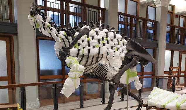 A New Home — and Pose — For Guyot’s Allosaurus