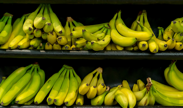 Green and yellow bananas on a grocery shelf