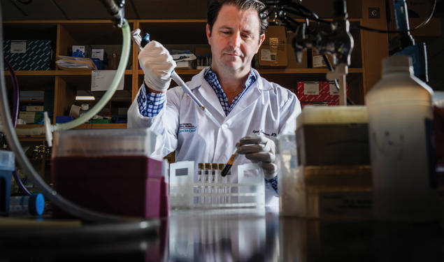 A New Way To See Cancer