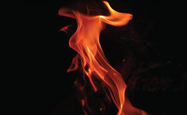 Exit-Garden-State_John_Hennessy.jpg Black cover with the title Exit Garden State above and author John Hennessy below with a fire in the background.