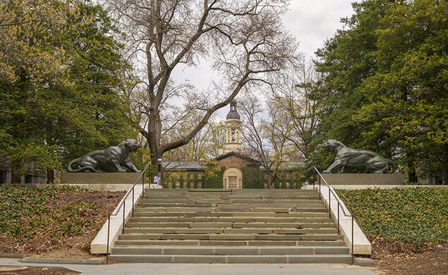 Nassau Hall is visible just over the top of stone steps.