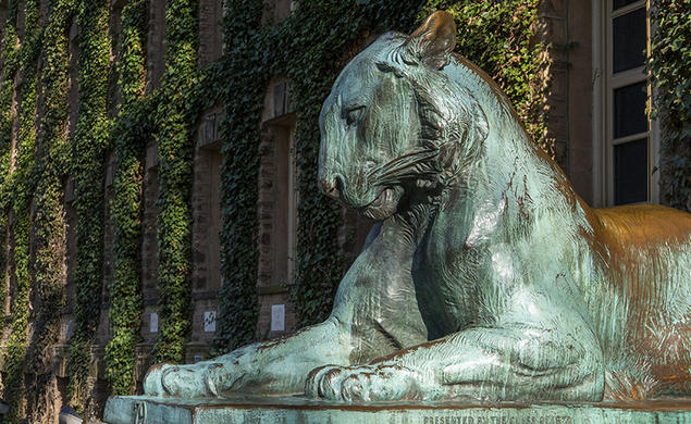 One of the bronze tiger statues that flank the front steps of Nassau Hall; ivy covers the walls in the background.