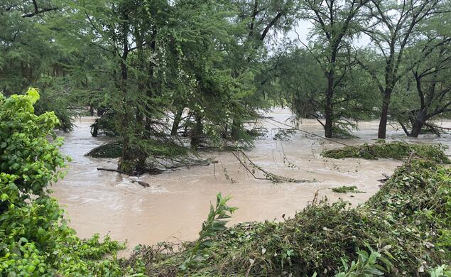 Trees surround the Guadalupe River overflowing with brown water. 
