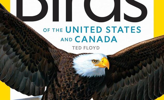 Field-Guide-To-The-Birds_Ted-Floyd.jpg
