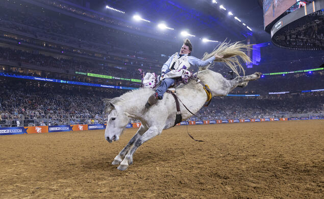 Shot at the Redeo in Texas of a man riding a horse 