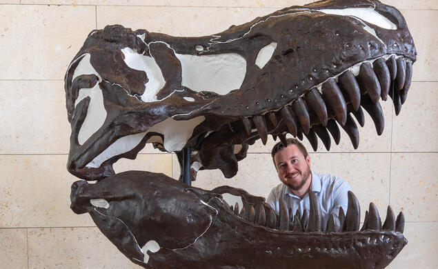 Dinosaur Discovery Dinosaur Discovery
