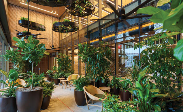 A wood paneled room filled with plants and wicker chairs at Frist Health Center.