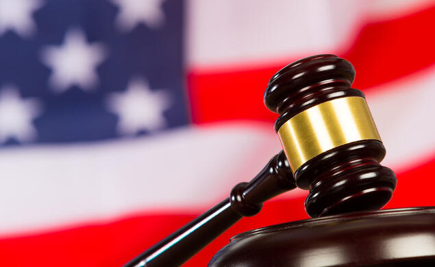 RESEARCH_Immigration Courts.jpg gavel resting in front of American flag