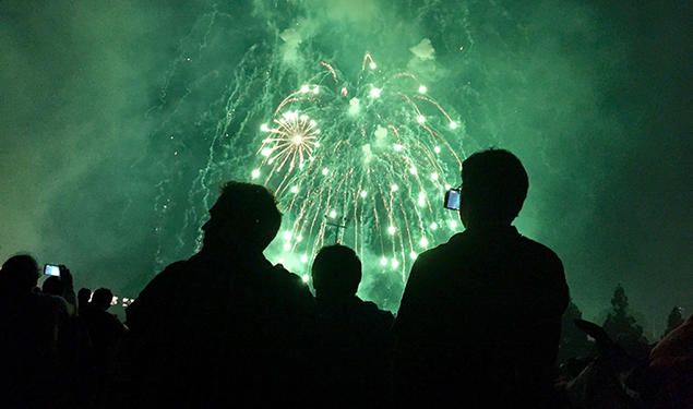 A crowd watches green fireworks.