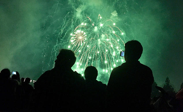 A crowd watches green fireworks.