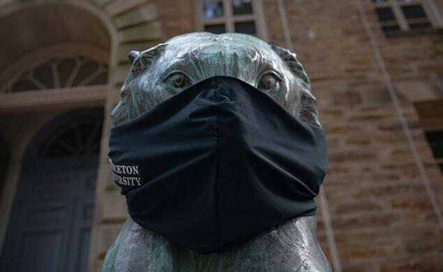 A bronze tiger statue in front of Nassau Hall wears a black face mask.