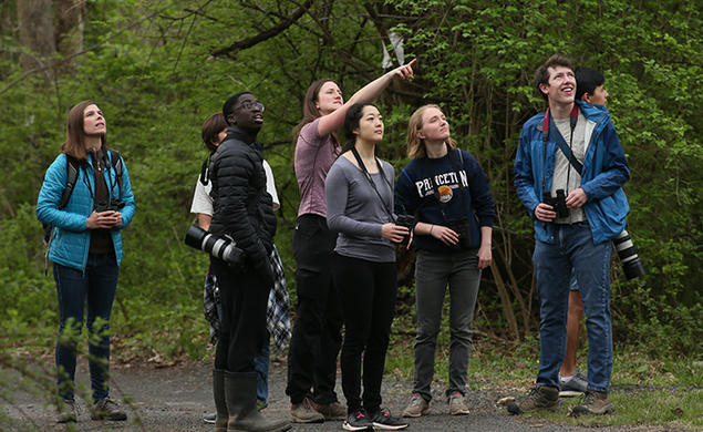 Seven students and one professor are in the woods, looking up into the trees. Several hold binoculars and cameras.