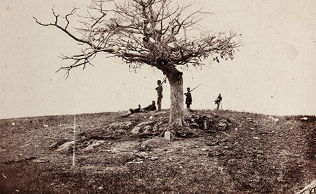 A Lone Grave on the Battlefield of Antietam: A tree marks a soldier’s burial place.
