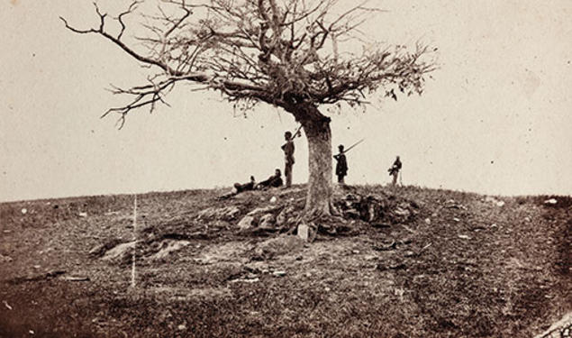 A Lone Grave on the Battlefield of Antietam: A tree marks a soldier’s burial place.