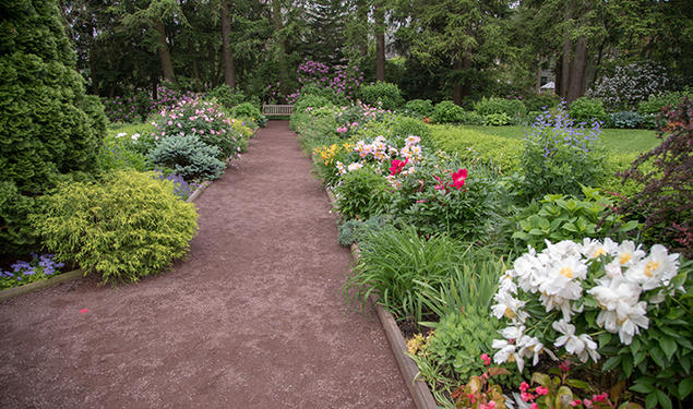 A path covered in reddish gravel leads past flowers to a wood bench.