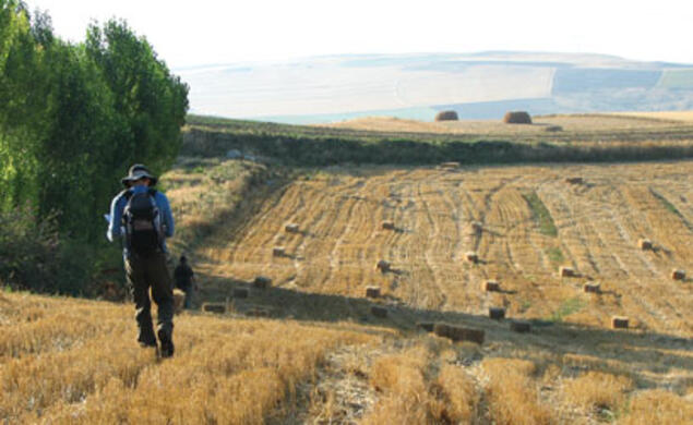 Graduate student Mark de Groh looks for artifacts near Beyözü, a village in central Turkey.