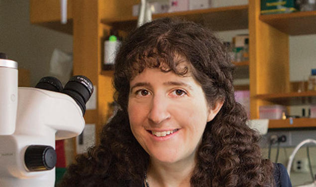 Laura Landweber ’89’s work on the complex sex life of Oxytricha could lead to a better understanding of how our own genome replicates.