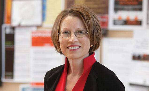 Professor Jennifer Widner has created a library of practical tips on addressing knotty governmental challenges.