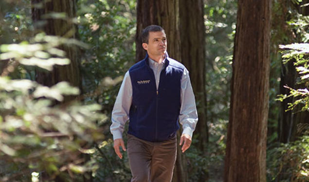 Redwoods are “exemplars of resilience, patience, and forgiveness,” says Sam Hodder ’91, head of the San Francisco-based Save the Redwoods League.