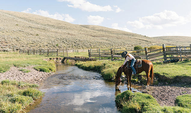 Caroline Nelson ’14 Is a Rancher With an Unconventional Model