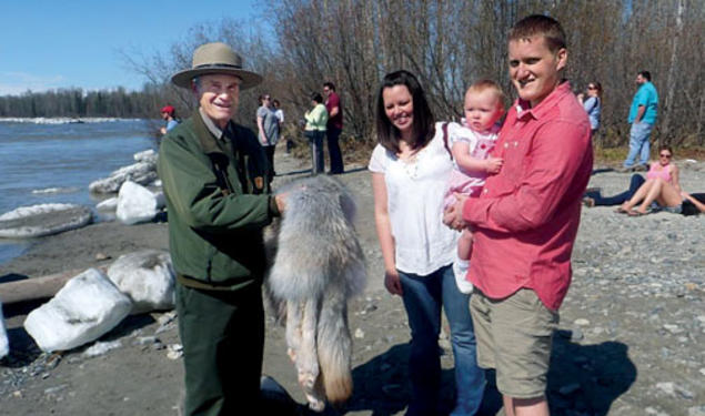 Jay Katzen ’58 shows a wolf pelt to visitors on a nature walk in Alaska’s Denali National Park.