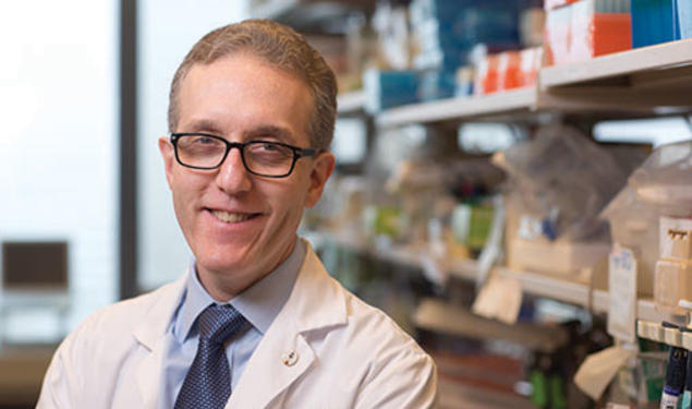 Jedd Wolchok ’87 is a leader in the immunotherapy field.