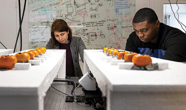 Princeton Engineers Use Wireless Signals to Pinpoint Fruit Ripening