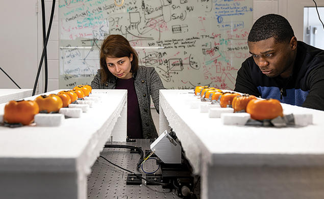 Princeton Engineers Use Wireless Signals to Pinpoint Fruit Ripening