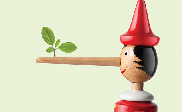 Pinnochio doll