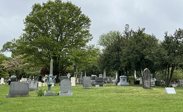 A cemetery with trees in the background.