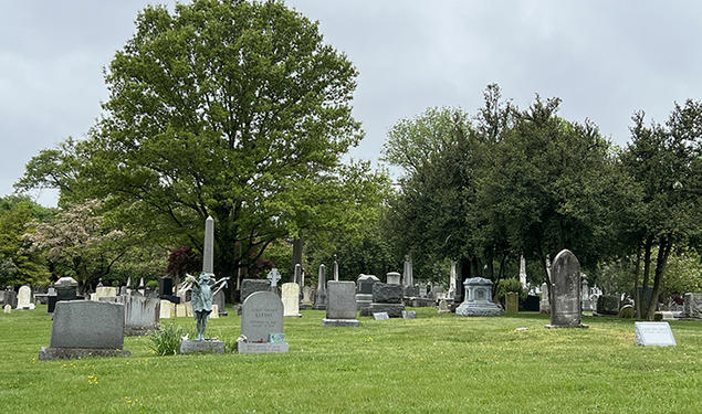 A cemetery with trees in the background.